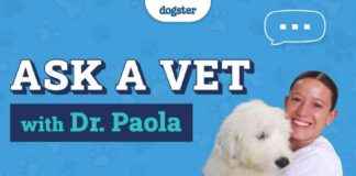 Dr. Paola’s Pet Advice: Dogster January 13, 2025 dr-paolas-pet-advice-dogster-january-13-2025