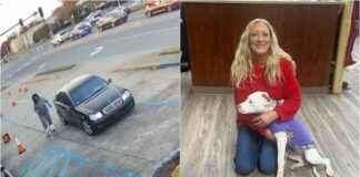 Rescued Dog Finds Happy Ending After Narrowly Escaping Traffic rescued-dog-finds-happy-ending-after-narrowly-escaping-traffic