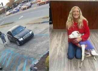 Rescued Dog Finds Happy Ending After Narrowly Escaping Traffic rescued-dog-finds-happy-ending-after-narrowly-escaping-traffic