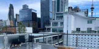 Rural vs. City Living for Dogs: Adventures with Rosa & Mac rural-vs-city-living-for-dogs-adventures-with-rosa-mac