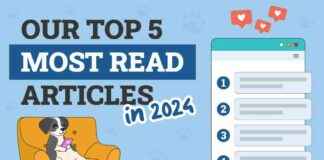 Top Dogster Articles of 2024: Must-Reads for Dog Lovers top-dogster-articles-of-2024-must-reads-for-dog-lovers