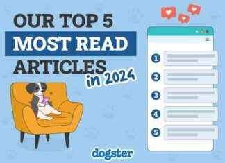 Top Dogster Articles of 2024: Must-Reads for Dog Lovers top-dogster-articles-of-2024-must-reads-for-dog-lovers