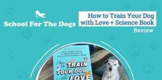 Ultimate Guide to Positive Dog Training: Love + Science Book Review 2025 ultimate-guide-to-positive-dog-training-love-science-book-review-2025