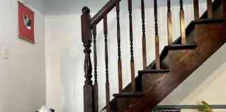 Conquering Stairs: Overcoming Dog Fears and Anxiety conquering-stairs-overcoming-dog-fears-and-anxiety