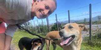 Evolution of Walks for Rosa & Mac: The ‘W’ Word evolution-of-walks-for-rosa-mac-the-w-word