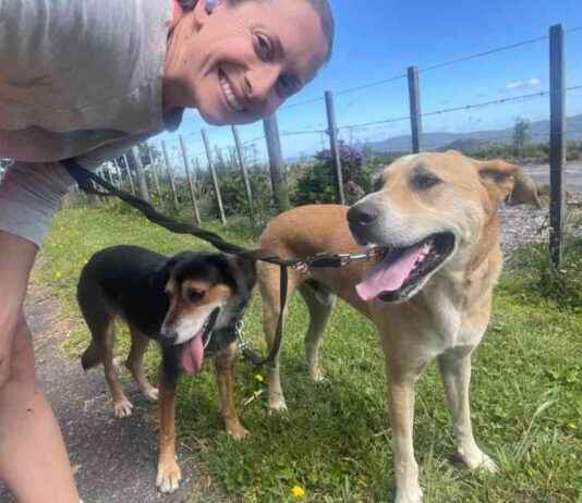 Evolution of Walks for Rosa & Mac: The ‘W’ Word evolution-of-walks-for-rosa-mac-the-w-word