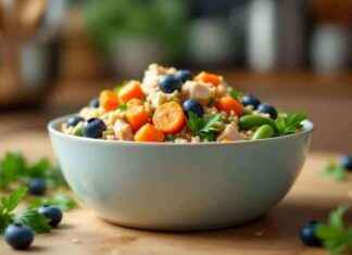 Guide to Holistic Dog Nutrition: Natural Feeding Tips guide-to-holistic-dog-nutrition-natural-feeding-tips