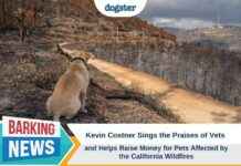 Kevin Costner Supports Vets & Raises Funds for California Pets kevin-costner-supports-vets-raises-funds-for-california-pets
