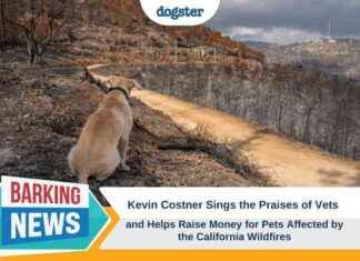 Kevin Costner Supports Vets & Raises Funds for California Pets kevin-costner-supports-vets-raises-funds-for-california-pets