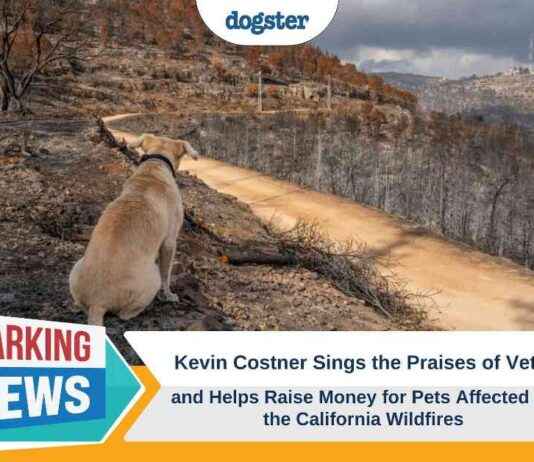 Kevin Costner Supports Vets & Raises Funds for California Pets kevin-costner-supports-vets-raises-funds-for-california-pets