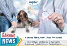 Personalized Cancer Treatment: AI Removes Guesswork in Canine Cancer personalized-cancer-treatment-a-removes-guesswork-in-canine-cancer