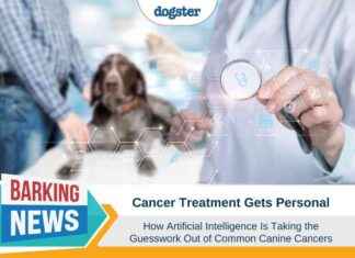 Personalized Cancer Treatment: AI Removes Guesswork in Canine Cancer personalized-cancer-treatment-a-removes-guesswork-in-canine-cancer
