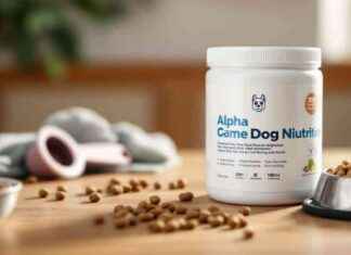 Is Alpha Dog Nutrition Worth the Hype? s-alpha-dog-nutrition-worth-the-hype
