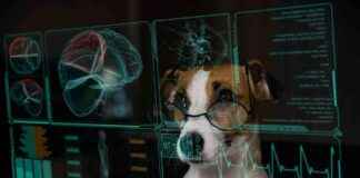 AI Revolutionizes Cancer Treatment: Dr. Karyn’s Favorite Tool a-revolutionizes-cancer-treatment-dr-karyns-favorite-tool