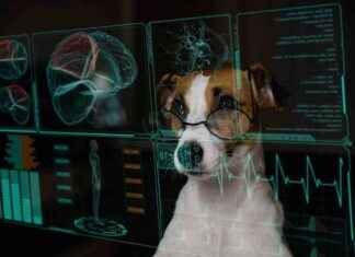 AI Revolutionizes Cancer Treatment: Dr. Karyn’s Favorite Tool a-revolutionizes-cancer-treatment-dr-karyns-favorite-tool