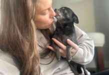 Dogster: How to Stop Obsessive Licking in Dogs dogster-how-to-stop-obsessive-licking-in-dogs