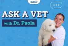 Dr. Paola’s Dogster Q&A: March 10, 2025 dr-paolas-dogster-qa-march-10-2025