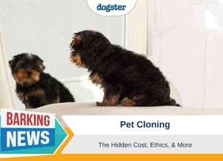 The True Cost of Pet Cloning: Ethics & More the-true-cost-of-pet-cloning-ethics-more