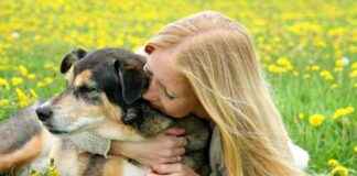 8 Easy Ways to Keep Your Dog Smelling Fresh Without Bathing 8-easy-ways-to-keep-your-dog-smelling-fresh-without-bathing