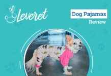 Pink Dinosaur Pajamas Review 2025: Leveret Dog Fashion Icon pink-dinosaur-pajamas-review-2025-leveret-dog-fashion-con