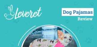 Pink Dinosaur Pajamas Review 2025: Leveret Dog Fashion Icon pink-dinosaur-pajamas-review-2025-leveret-dog-fashion-con