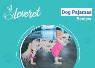 Pink Dinosaur Pajamas Review 2025: Leveret Dog Fashion Icon pink-dinosaur-pajamas-review-2025-leveret-dog-fashion-con