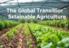 The Global Shift Towards Sustainable Agriculture: A Closer Look at Organic Farming Trends The Global Transition to Sustainable Agriculture: An In-Depth Examination of Organic Farming Trends