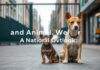 The Intersection of Urban Policy and Animal Welfare: A National Perspective The Intersection of Urban Policy and Animal Welfare: A National Outlook