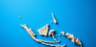 The Ripple Effects of Indonesia’s New Economic Policies on Global Trade The Ripple Effects of Indonesia's New Economic Policies on International Trade