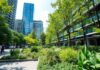The Rise of Urban Green Spaces: A Breath of Fresh Air in Modern Cities The Rise of Urban Green Spaces: A Breath of Fresh Air in Contemporary Urban Areas